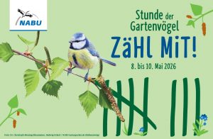 Die Stunde der Gartenvögel